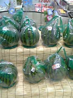 070612_205100_M.jpg
